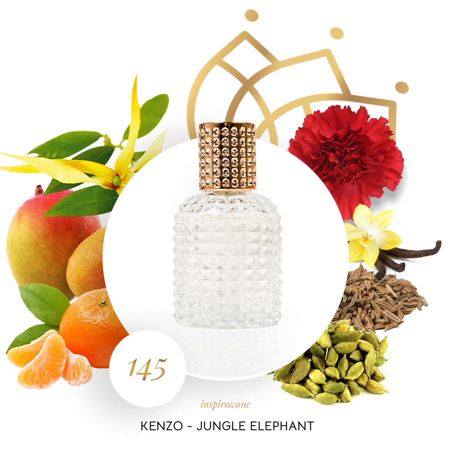 Grafika ze składnikami perfum inspirowanych Elephant Jungle Kenzo