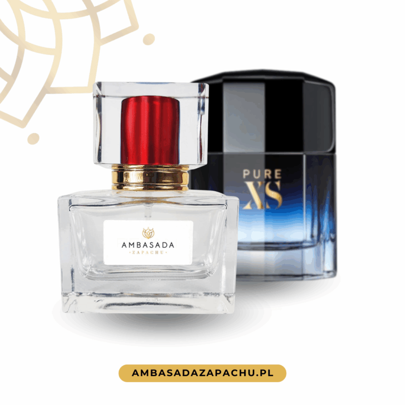 InspirowanePaco Rabanne Pure XS Pour Homme perfumy 429